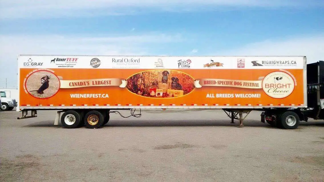 Bright Cheese & Butter vehicle wrap, photo 2