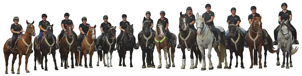 Ontario Mounted Special Services Unit (OMSSU) vehicle wrap, photo 1