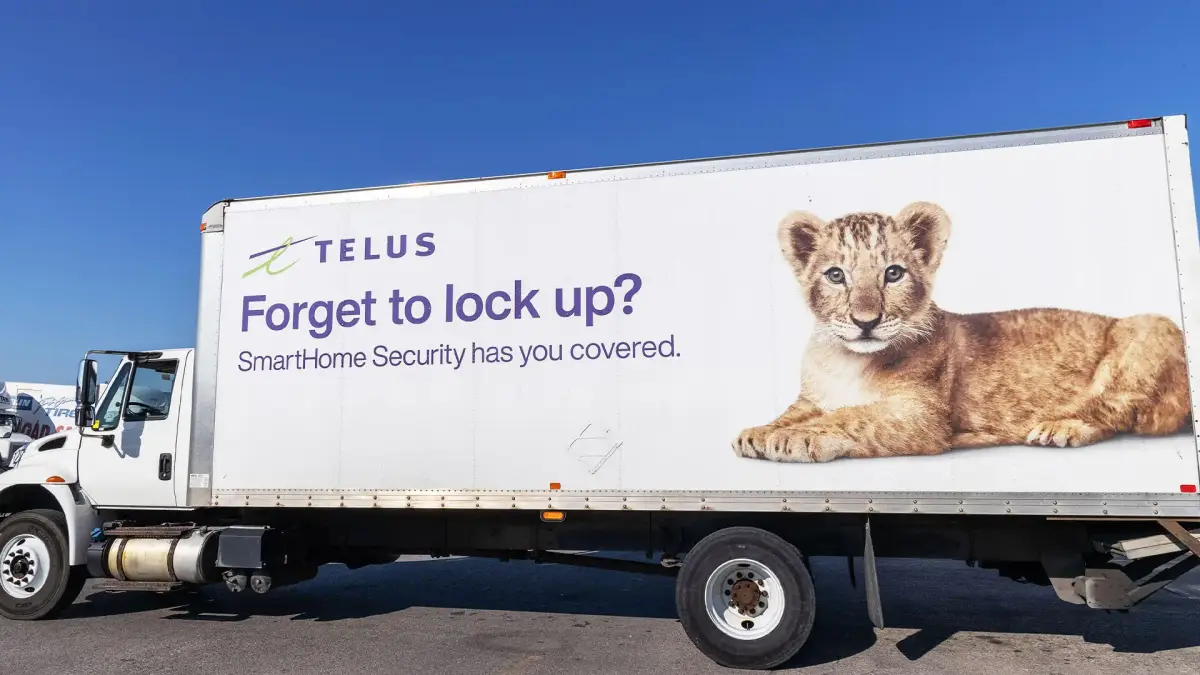 Ren’s Pets vehicle wrap, photo 6