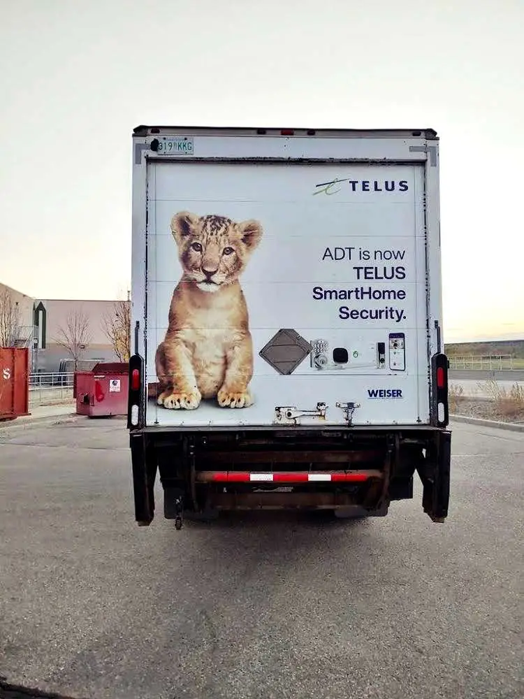 TELUS vehicle wrap, photo 10
