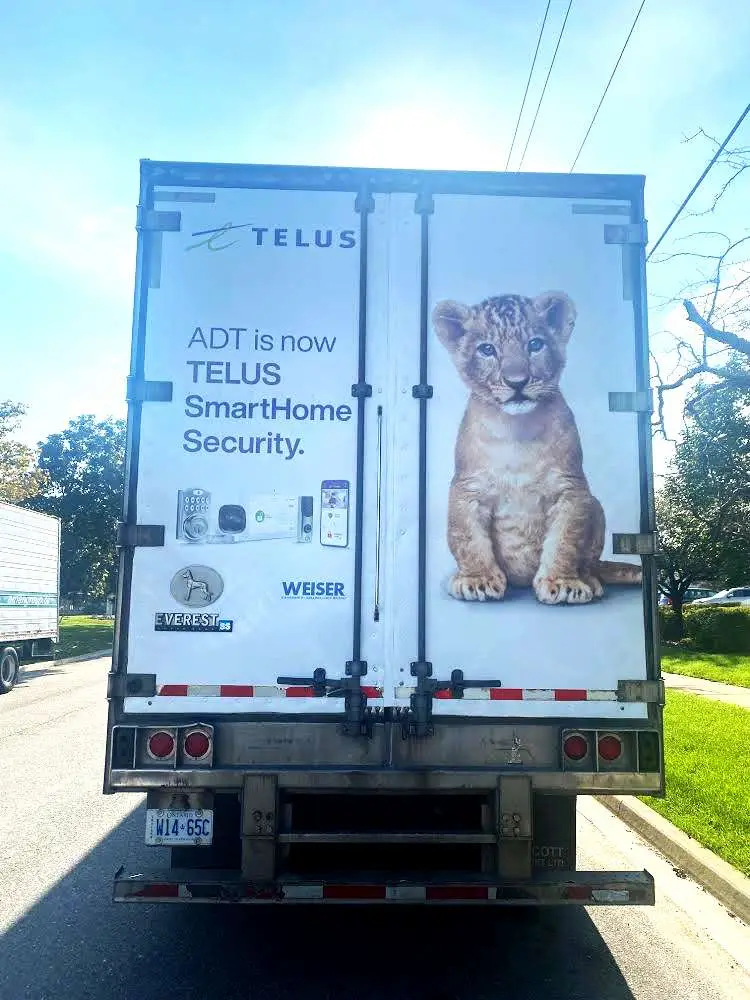 TELUS vehicle wrap, photo 6