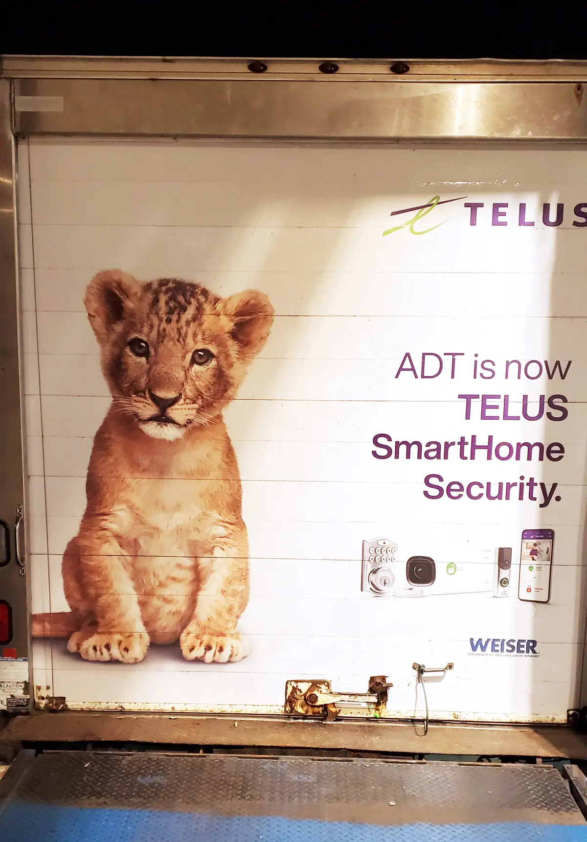 TELUS vehicle wrap, photo 8